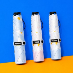 제이에스 테스지 데이지 우양산