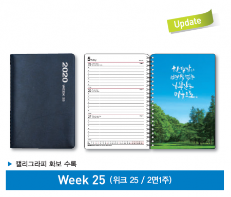 양지 다이어리 위크 25절 / 32절 택1 #2