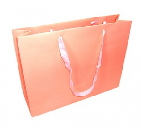 코팅 쇼핑백 2호 410 X 120 X 310 #3