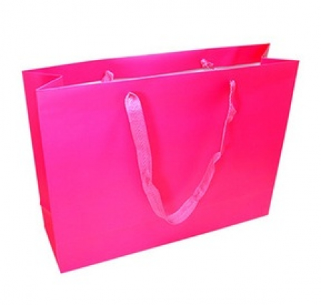 코팅 쇼핑백 1호 470 X 130  X 320 #9