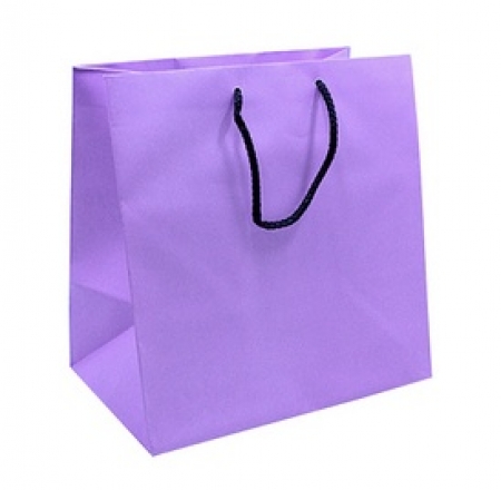 유광 도시락 종이 쇼핑백 대형, 중형 #3