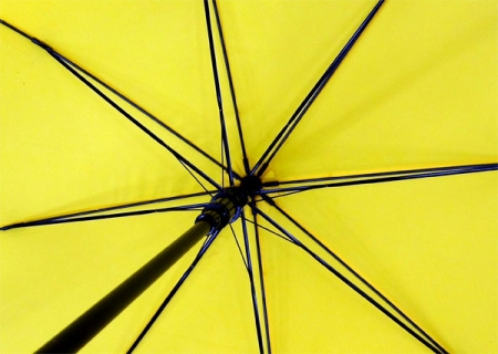 키르히탁 70 폰지 노랑우산 노란우산 #5