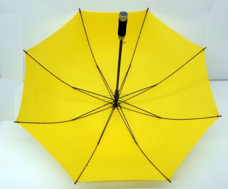 키르히탁 70 폰지 노랑우산 노란우산 #3
