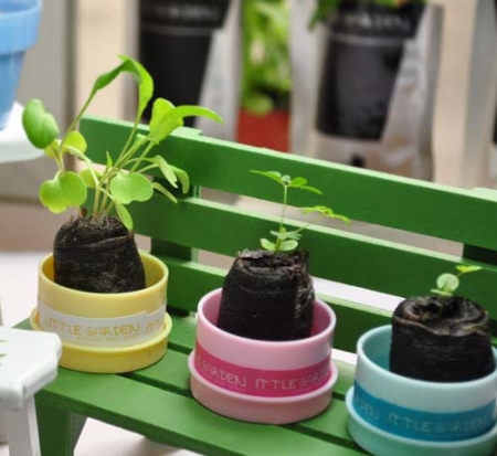 리틀 가든 미니 #2