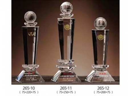 상패. 크리스탈 트로피. 체육 대회 트로피 #2