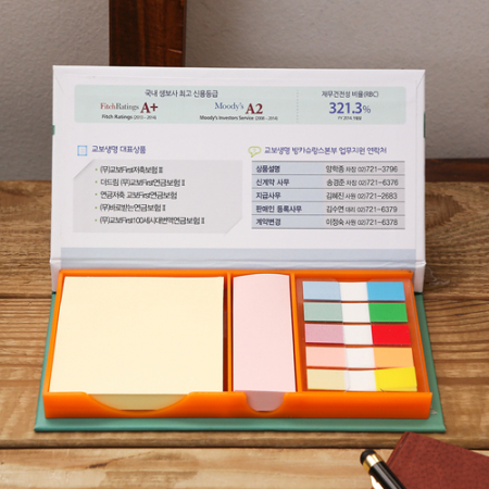 (H- 21) 대- 오색플래그지 #2