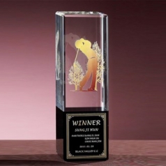 크리스탈 트로피 8) 117-2