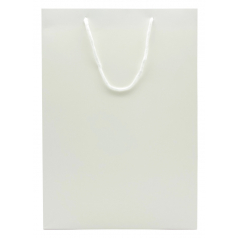 백색 코팅 종이 쇼핑백 T2호 280 X 100 X 420mm