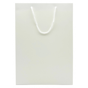 백색 코팅 종이 쇼핑백 T2호 280 X 100 X 420mm