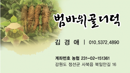 양면 무코팅 명함 500장 #3