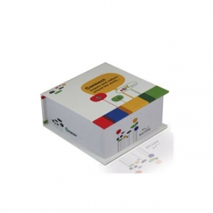 고급 양장 측면 컬러 전사 점착메모지