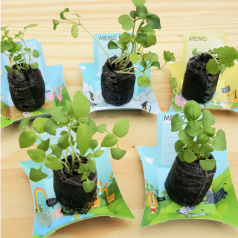 페이퍼 포트 가든