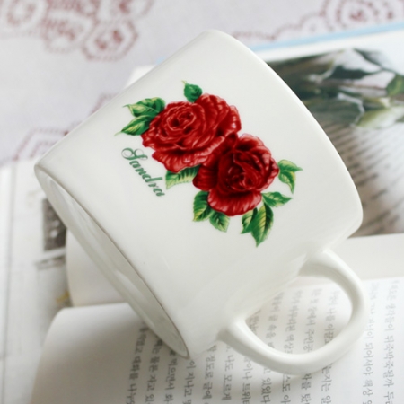 아일랜드 로즈 머그, dr매직 #3