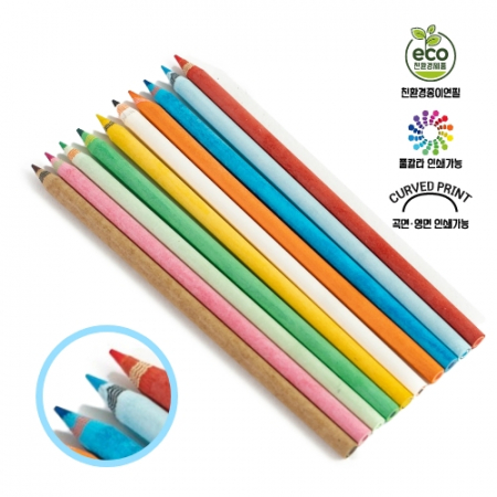 제브라 종이 색연필 #2