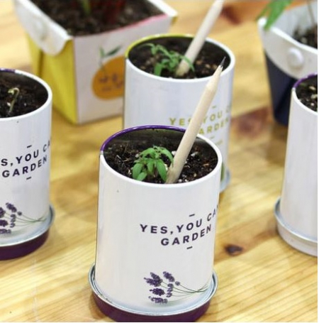 업사이클링 롱 씨앗 연필 1p #2