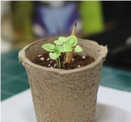 업사이클링 롱 씨앗 연필 1p #4