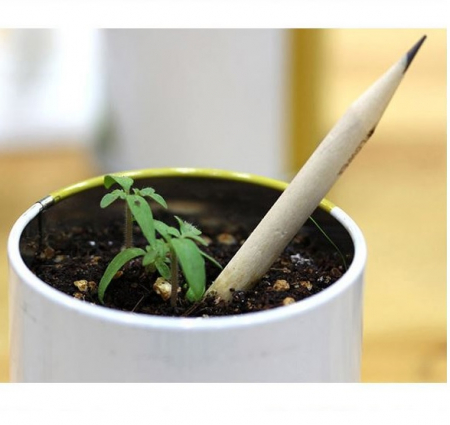 업사이클링 롱 씨앗 연필 1p #5