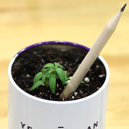 몽당 씨앗 연필 1p #3