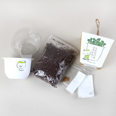 그린패밀리 식물키트- 방울토마토 #3