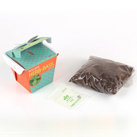 에코팟- 허브바질 #3