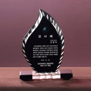 블랙 횃불 상패 8) 205-1