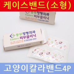 밴드케이스 소형 (고양이 밴드)