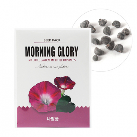 미니 사이즈 씨앗 봉투- 나팔꽃 #2
