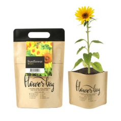 NEW 플라워백 종이 화분 키트- 해바라기