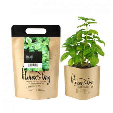 NEW 플라워백 종이 화분 키트- 허브바질 #2
