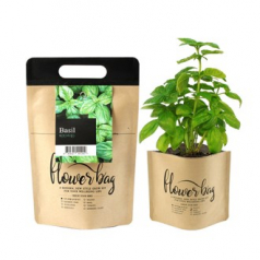 NEW 플라워백 종이 화분 키트- 허브바질