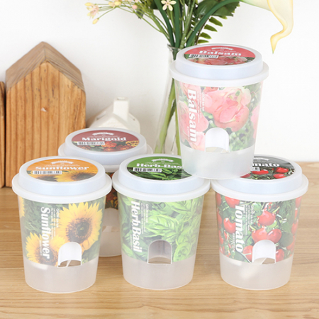 그로우톡톡 저면 관수 미니 화분- 해바라기 #4