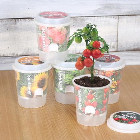 그로우 톡톡 저면 관수 미니 화분 - 허브바질 #4