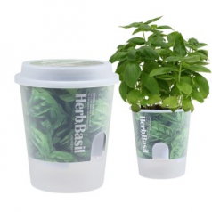 그로우 톡톡 저면 관수 미니 화분 - 허브바질