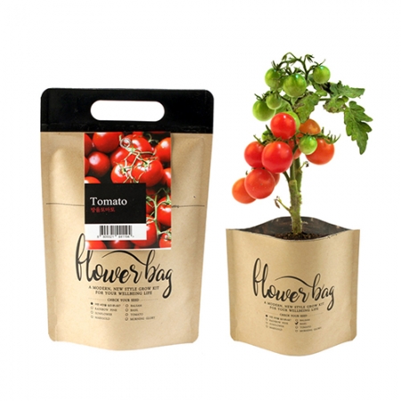 NEW 플라워백 종이 화분 키트 - 방울토마토 #2