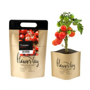 NEW 플라워백 종이 화분 키트 - 방울토마토
