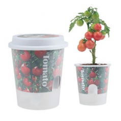 그로우 톡톡 저면 관수 미니 화분 - 방울토마토