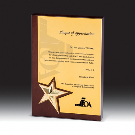 [상패] HB- 7369 #2