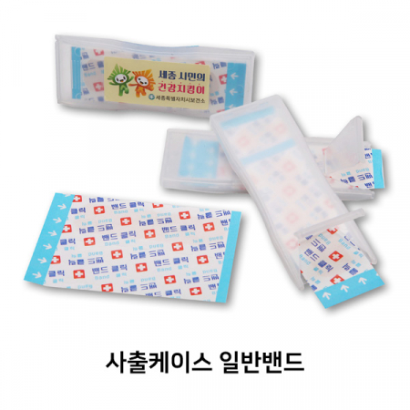 사출케이스 (일반 밴드) 4P #2