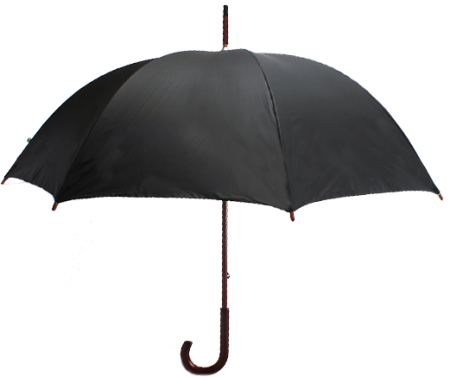 명화 우산 60 아몬드 나무 (바깥쪽 그림) [국내 제작] #4