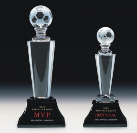 크리스탈 트로피 316 #2