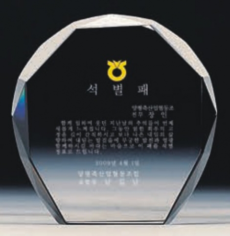 크리스탈 상패 문진 4539 #3