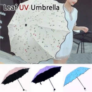 LeAf UV 나뭇잎 우산 4종