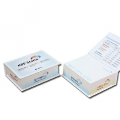 양장 큐브형 측면전사 점착메모지 107x80300매