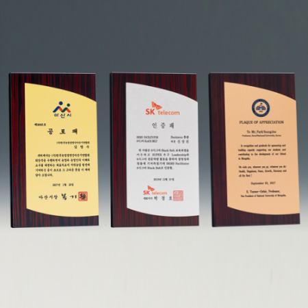 남13호 360-금1. 은2. 동3 #2