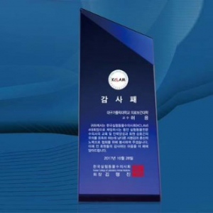 크리스탈 상패 / SD11) 262- 4