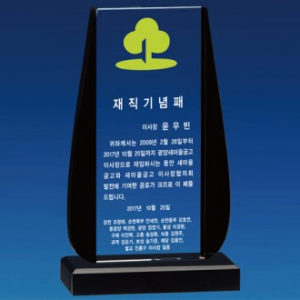 크리스탈 상패 / SD11) 198- 6