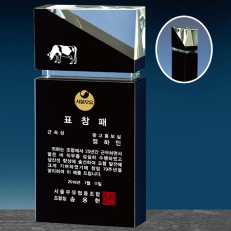 크리스탈 감사패. 공로패 / DS10) 91- 2 #2