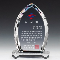 크리스탈 감사패. 공로패 / 21 C10) 95- 3