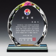 크리스탈 감사패. 공로패 / 21 C10) 96- 1