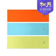 송월 아날도바시니 베이직 스포츠31 타올